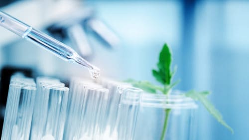 Biotech-Merkbare-Erholung