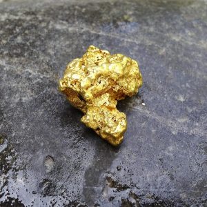 Gold Nugget