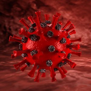 Corona Virus