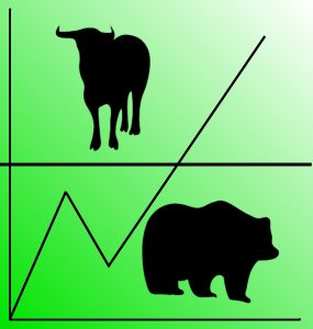 Bulle und Bär Aktien