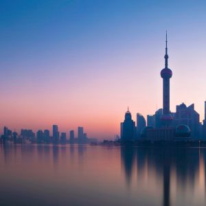 China Skyline Crop