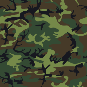 Camouflage